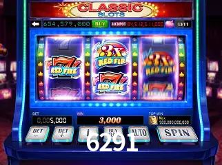 6291