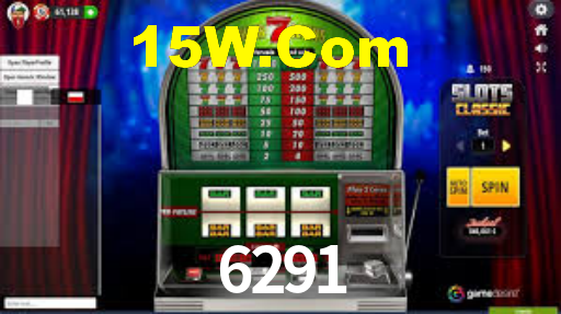 Premium Interface 6291